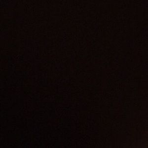 Meet your Posher, Sonny